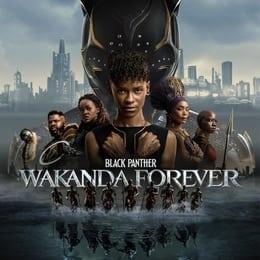 Black Panther 2