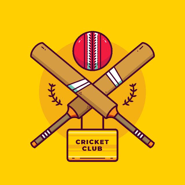 Cricket 2.0 🏏