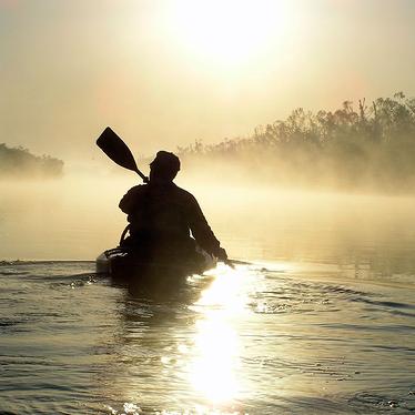 නිසදැස් ?