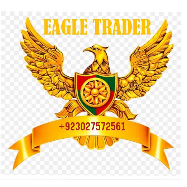 PRO EAGLE FX  TRADER