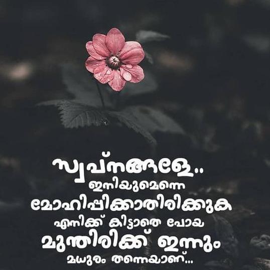 ?ഒꪆർൔകളുൔꪆയ᭄?ᬤൻ തൂല᭄കയും?️