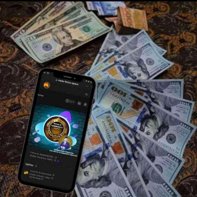 ?META FORCE Platfrom??