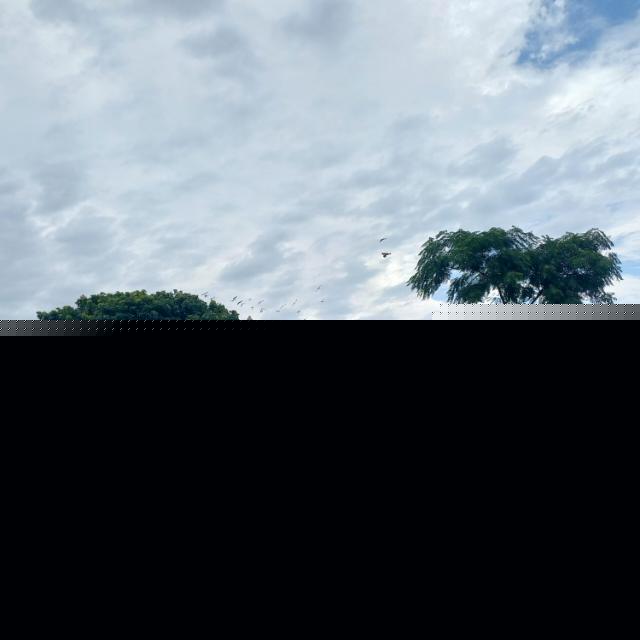 Online network marketing forsage.io