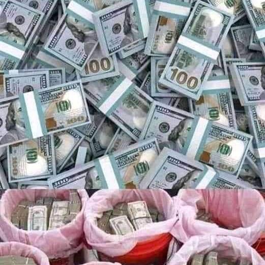 Forex best account manger ????