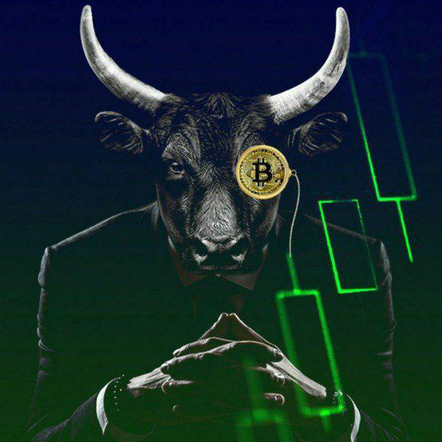 Bull Crypto master  📈