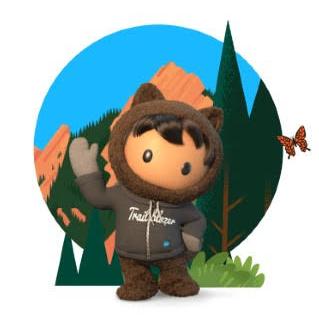 Salesforce Trailblazer