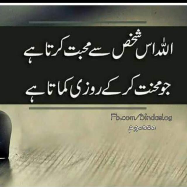 Sheraz Exchange 😍