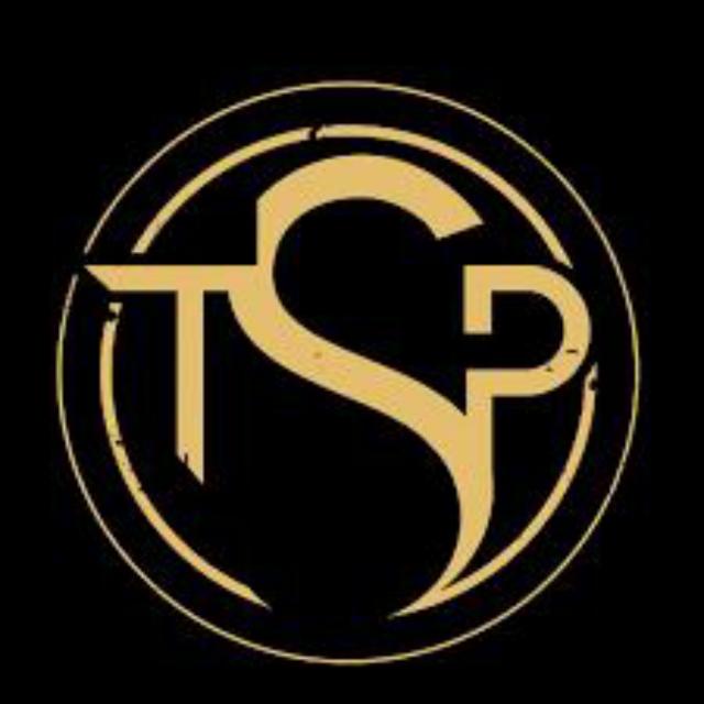 The success partner 2