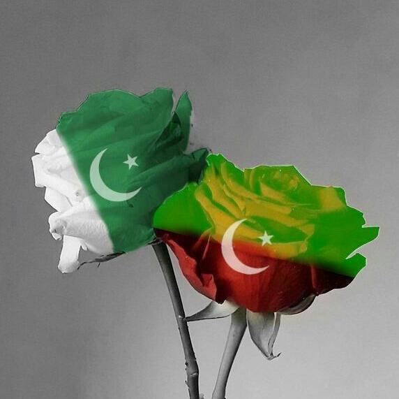 🇵🇰🌿🇵🇰 بلوچ 🌐 گروپ 🇵🇰🌿🇵🇰