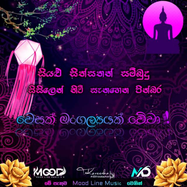 ඉන්වෙස්මන්ට් කරලා binance එකටම usdt??