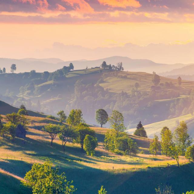 Information of their culture.