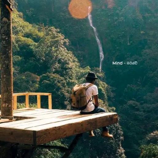 Facebook මිතුරු කැළ