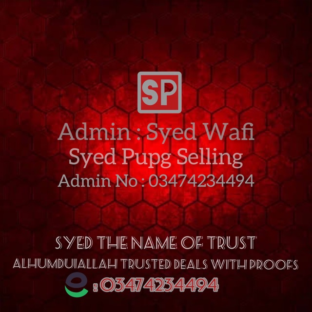 SУΞD PЦPG SΞLLIИG ₁₂₆