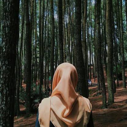 GC CREATE PANEL XYANZXD 