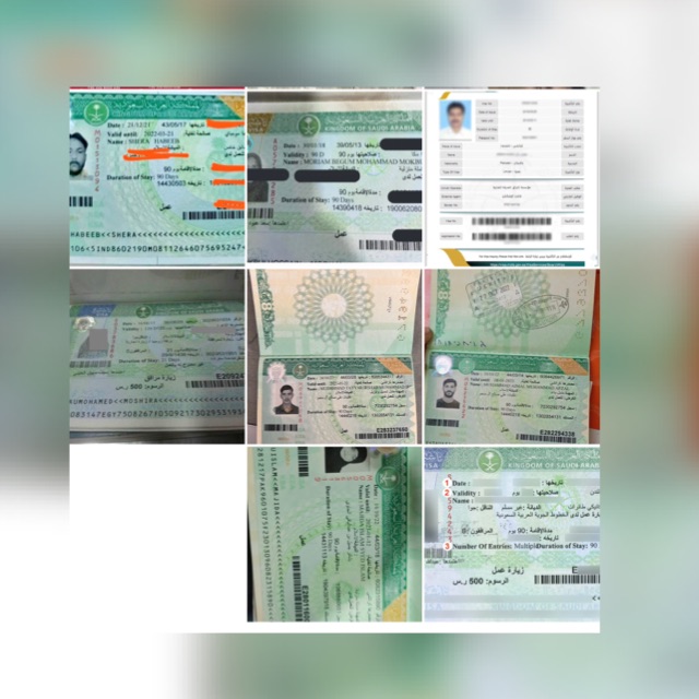 Saudi Arabia visa info