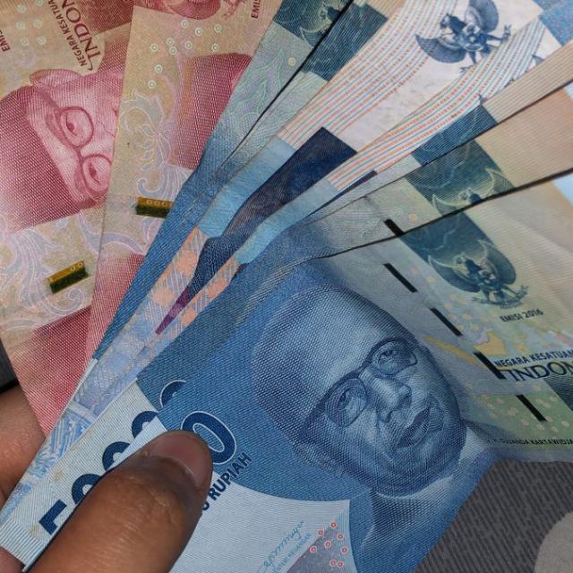 INFO JASTEB X JPM DITZ STORE