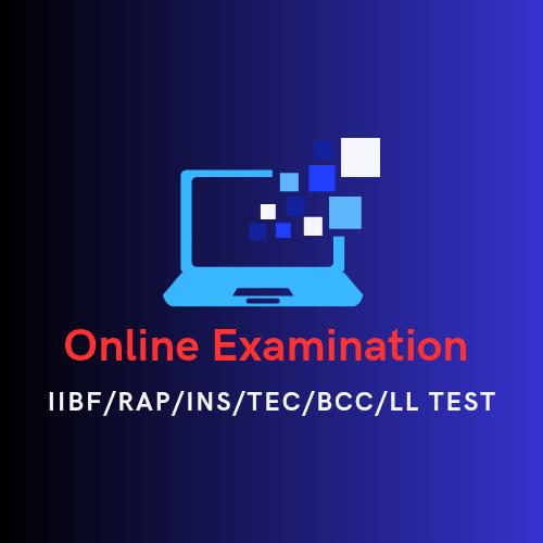 Online Examination PDF