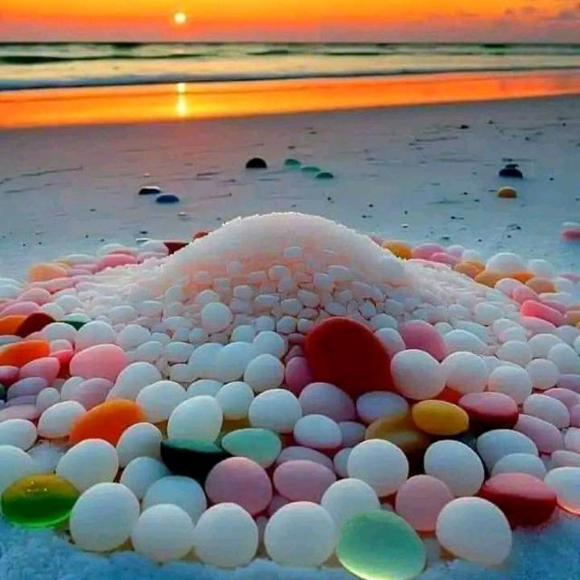 ????????? ??????????