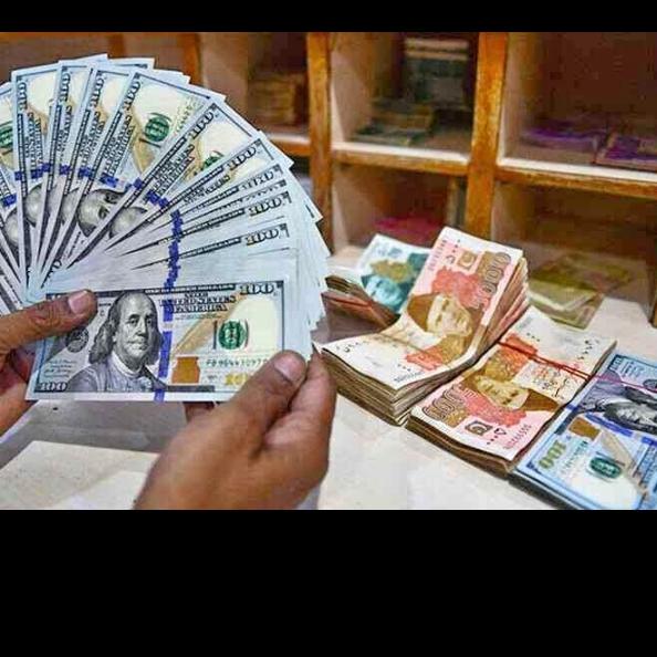 Online Erin dilly 50k