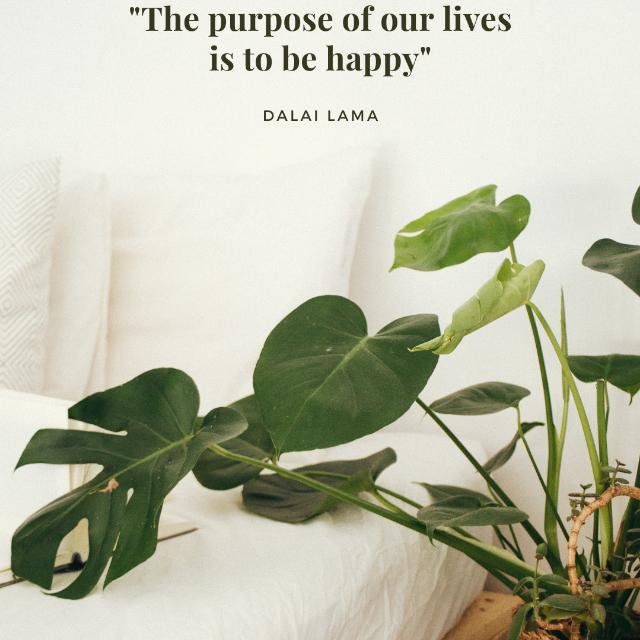 DAILY MONEY? TOP COMMENTS