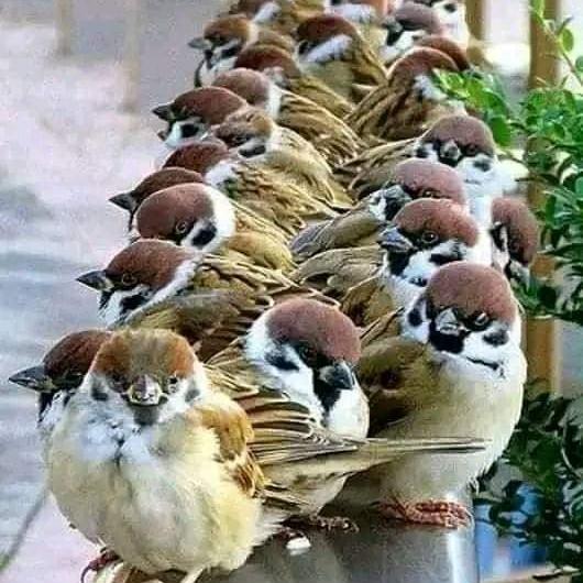 Duniyan Mtlb tak?????