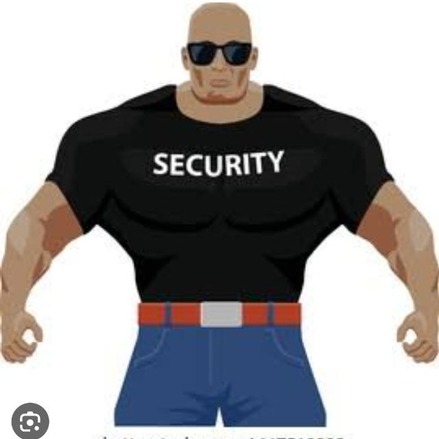 Delhi up bouncer group