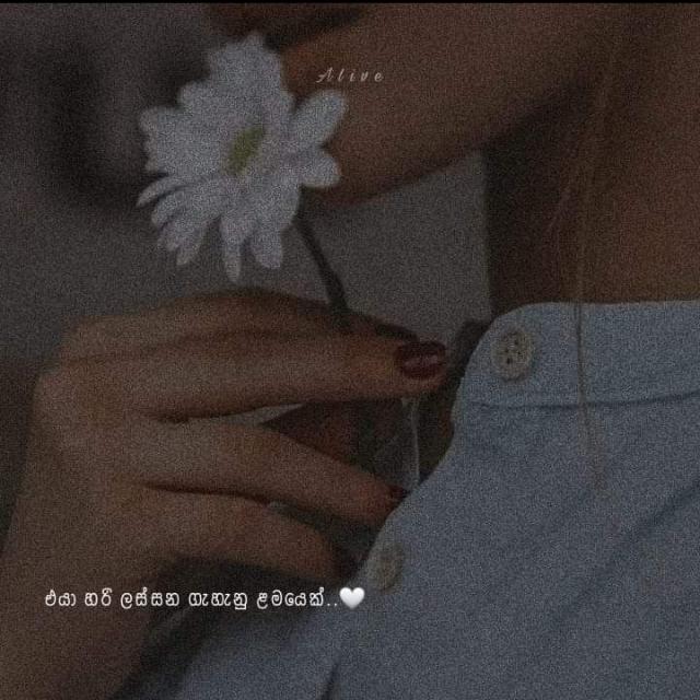 💔නිසදැස් අරණ🥀