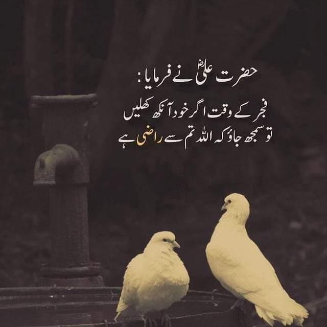 Kashmir friend ship 