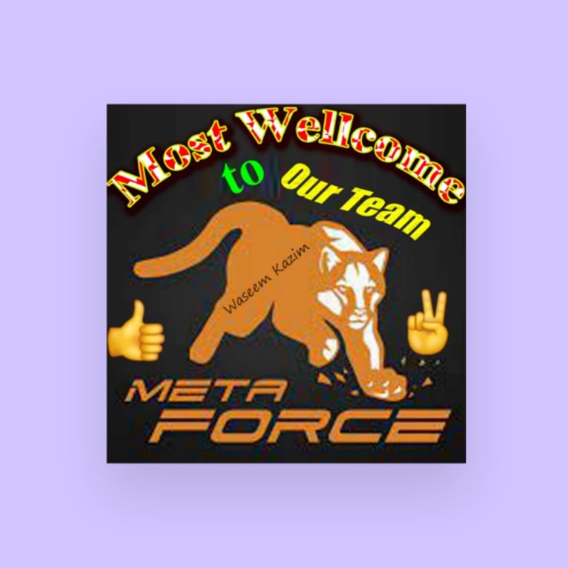 Meta force group