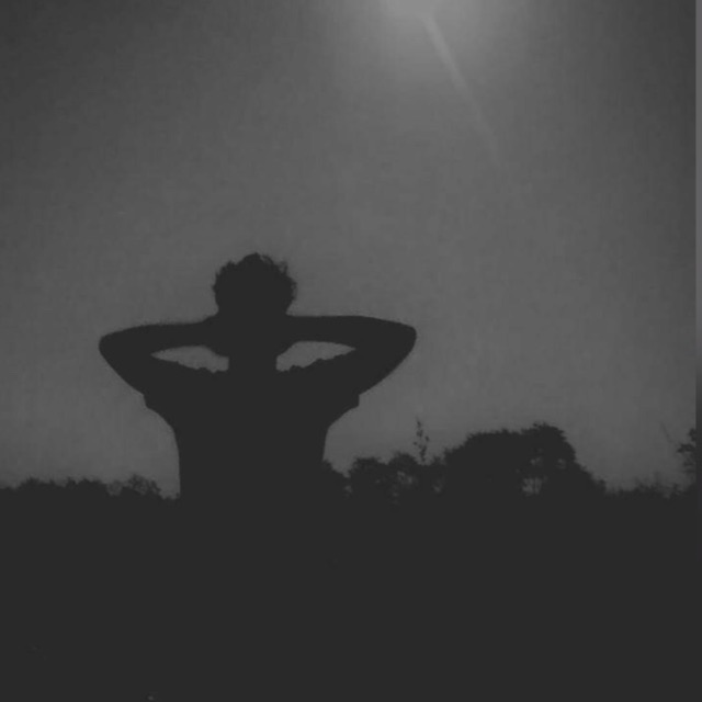 ◉ D I N U X - B O T??️?