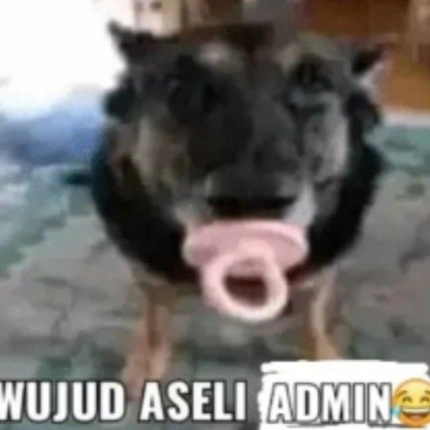 pamili mapia
