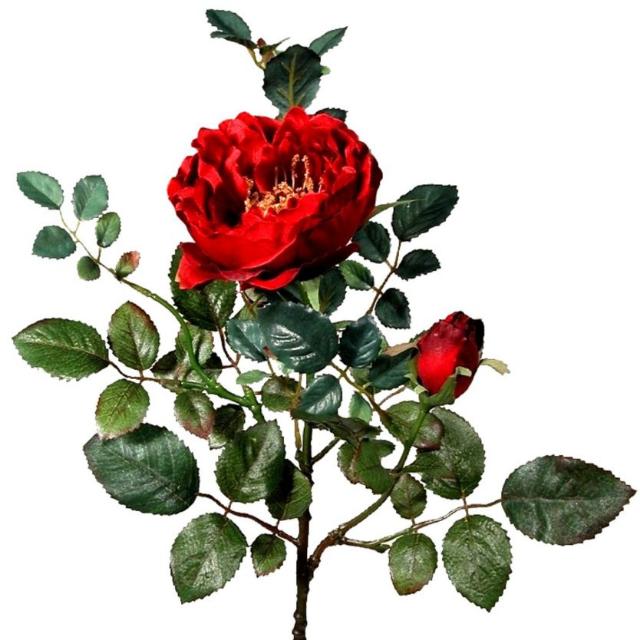 ͓̽F͓͓̽̽r͓͓̽̽i͓͓̽̽n͓͓̽̽d͓̽ ͓̽G͓͓̽̽r͓͓̽̽o͓͓̽̽u͓͓̽̽p͓̽ ͓̽p͓̽a͓͓̽̽g͓͓̽̽e͓̽ ͓̽o͓͓̽̽n͓͓̽̽l͓͓̽̽y͓̽