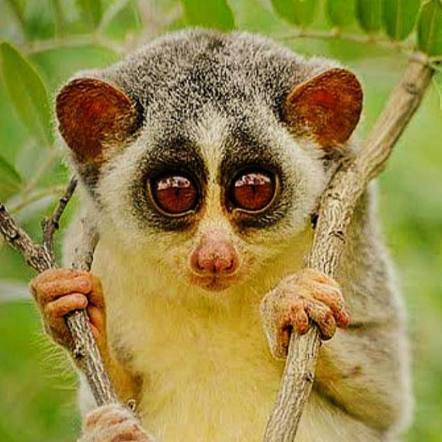 Gandhinagar, Gujarat 101