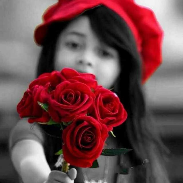 Holiday Special Story