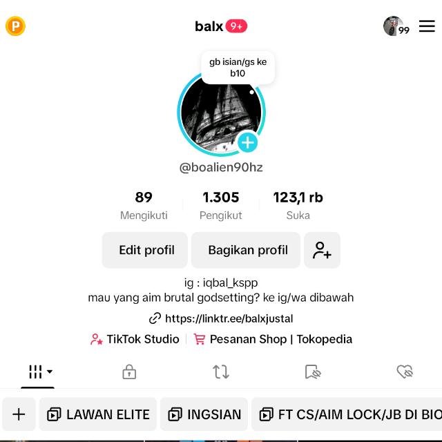 ISIAN CS BALX #1