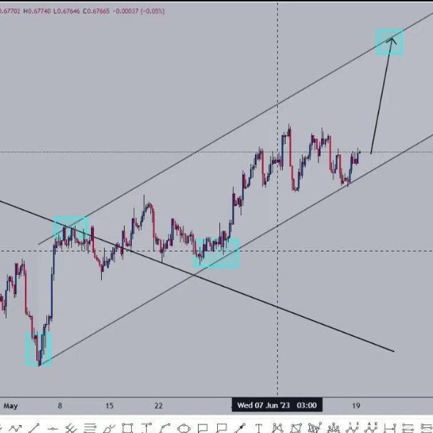 FOREX SIGNALS NETWORK ?