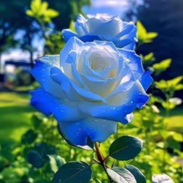 ❤️❤️🥰❤️দুষ্টামি❤️🥰❤️❤️