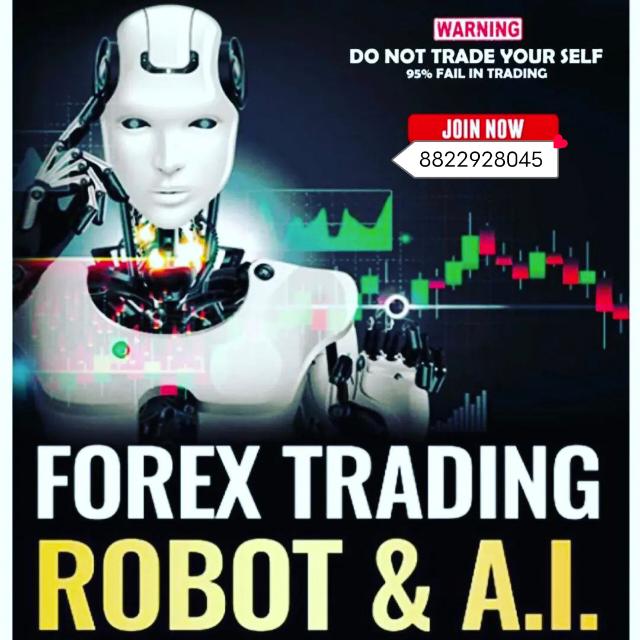 MTFE (METAVERSE FOREIGN EXCHANGE)