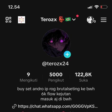 settings andro/ip - terozx
