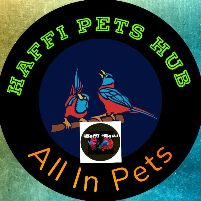 Haffi Pets Hub and Aqua