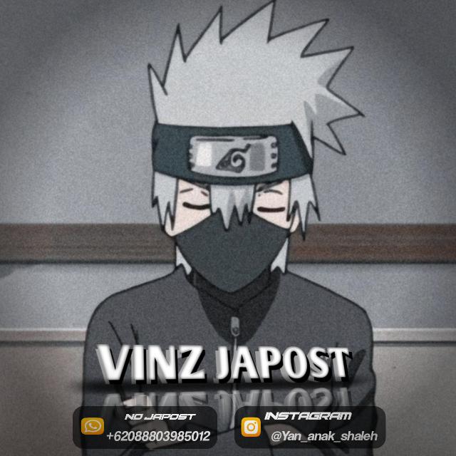 THE  REAL VINZ JAPOST