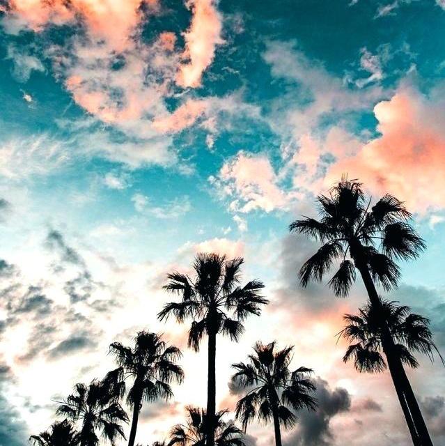 __________________chikmanglore Legend's♡(?)♡