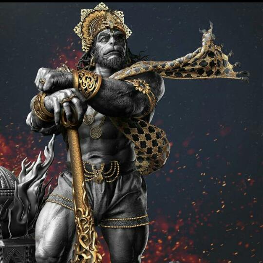 राष्ट्रीय बजरंग दल ? GROUP??