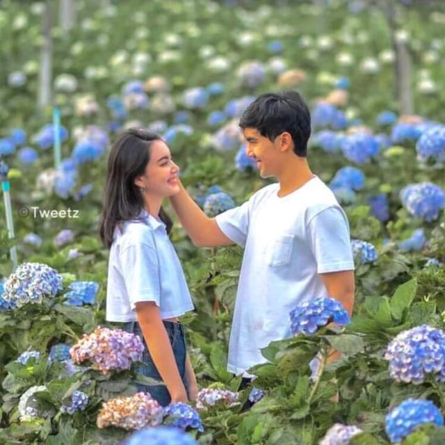 ♤•༺??????☆?????'?༻•♤