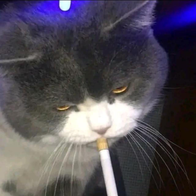 JB ALL GAME || REHAN STORE JB¹