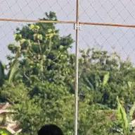 ??KOMUNITAS BEAT KBL??