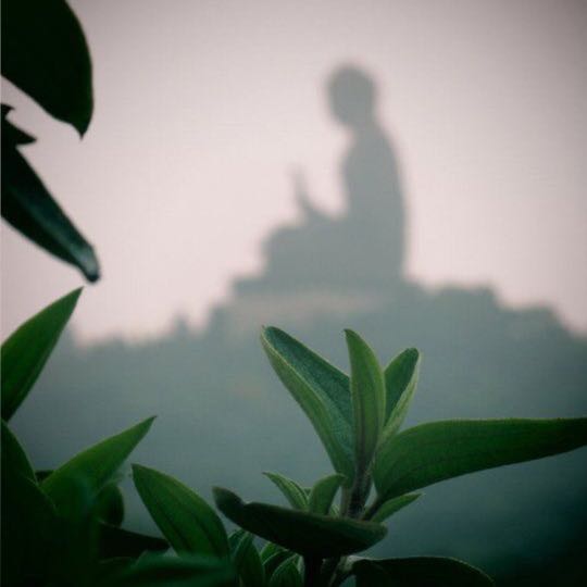 බුදු ගුන වදන්