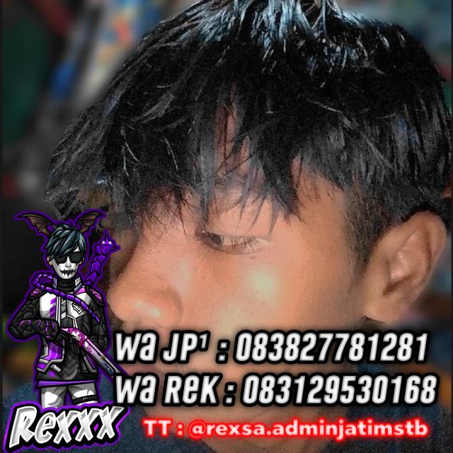 JB¹ || STOCK REXSA X OWN