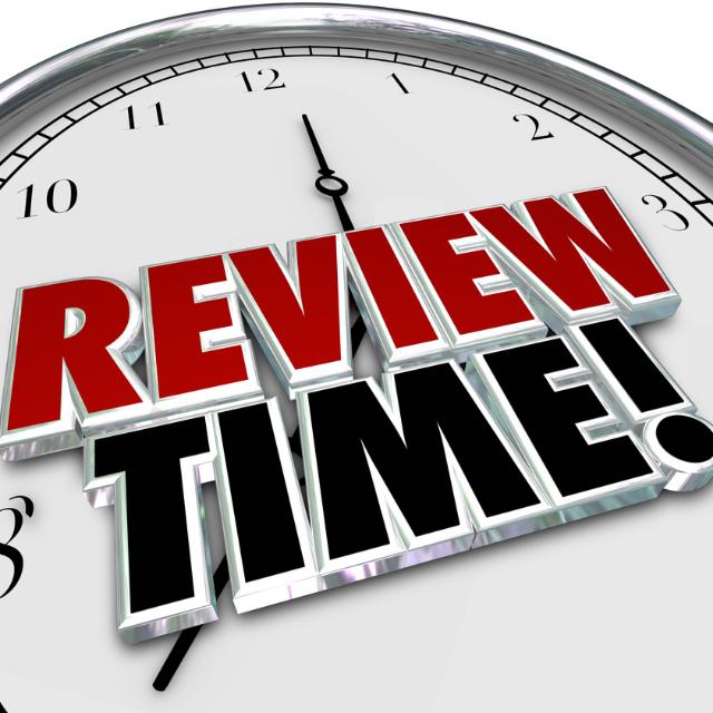 Earning by Review work