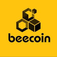 Beecoin 3rd team🥰